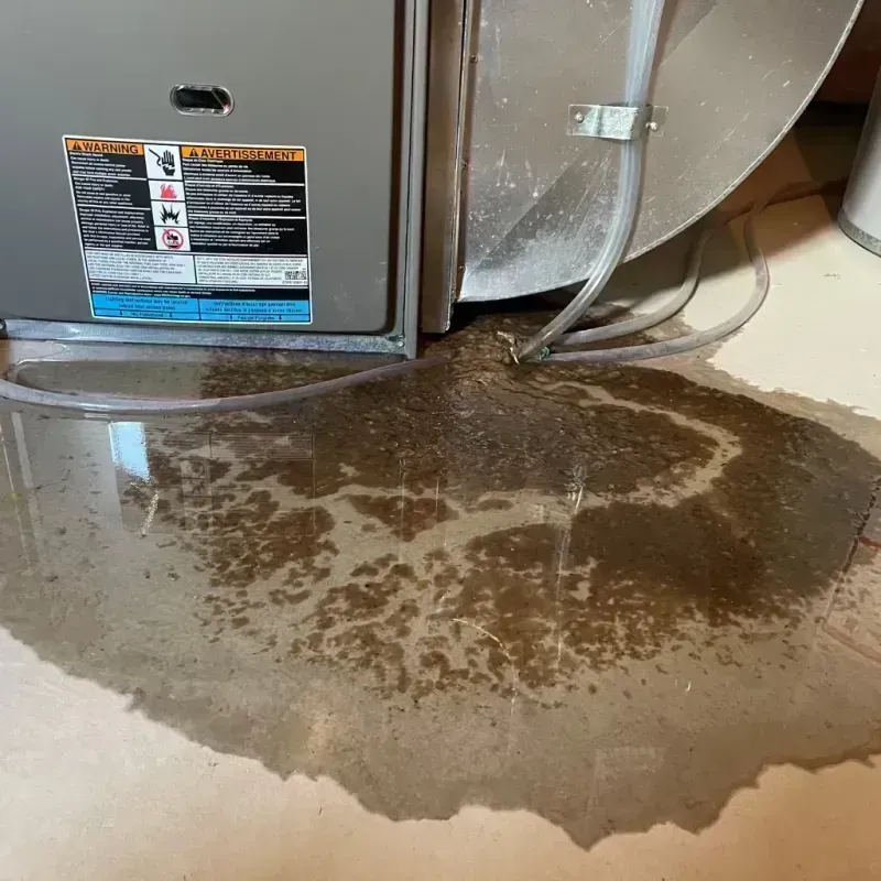 Appliance Leak Cleanup in Franklin, ME